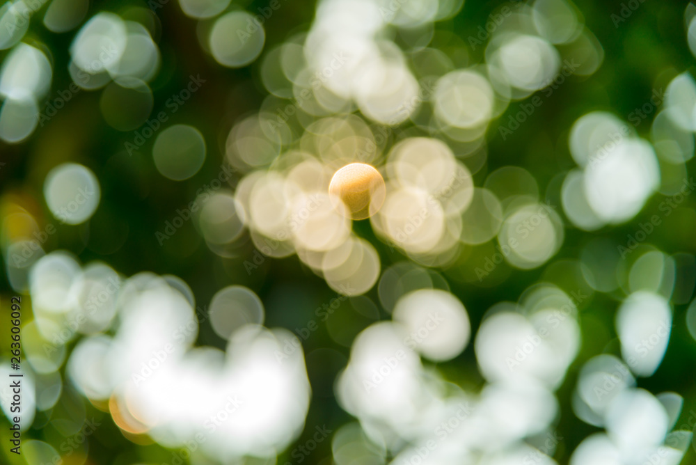 Obraz premium Abstract bokeh lights of green leaf. natural background