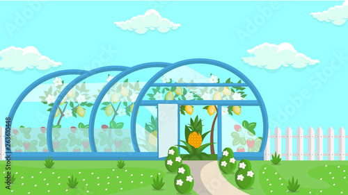 Greenhouse Tropical Fruit Cultivation Illustration
