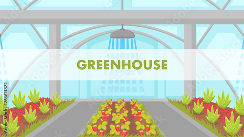 Berries Growing in Greenhouse Vector Web Banner
