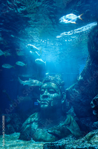 Fotografia Under the sea in Thailand