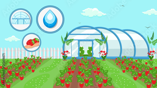 Berry Cultivation Farming Technology Illustration