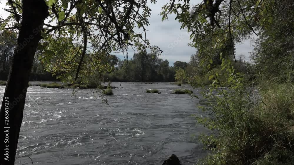 The Willamette River flows past a forested, rocky riverbank under a sky with wispy clouds. The Willamette River flows past a forested, rocky riverbank under a sky with wispy clouds.
