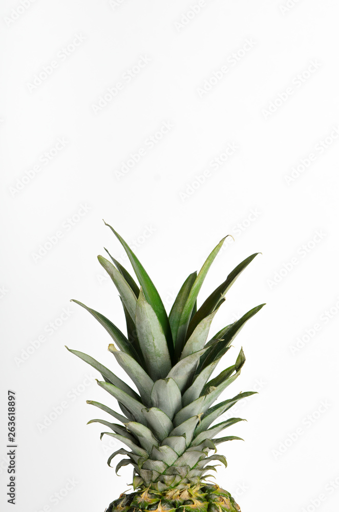 Fototapeta premium Green leaves of pineapple, tops, greens on a white background. Tropical summer fruit. Copy space, minimal composition.