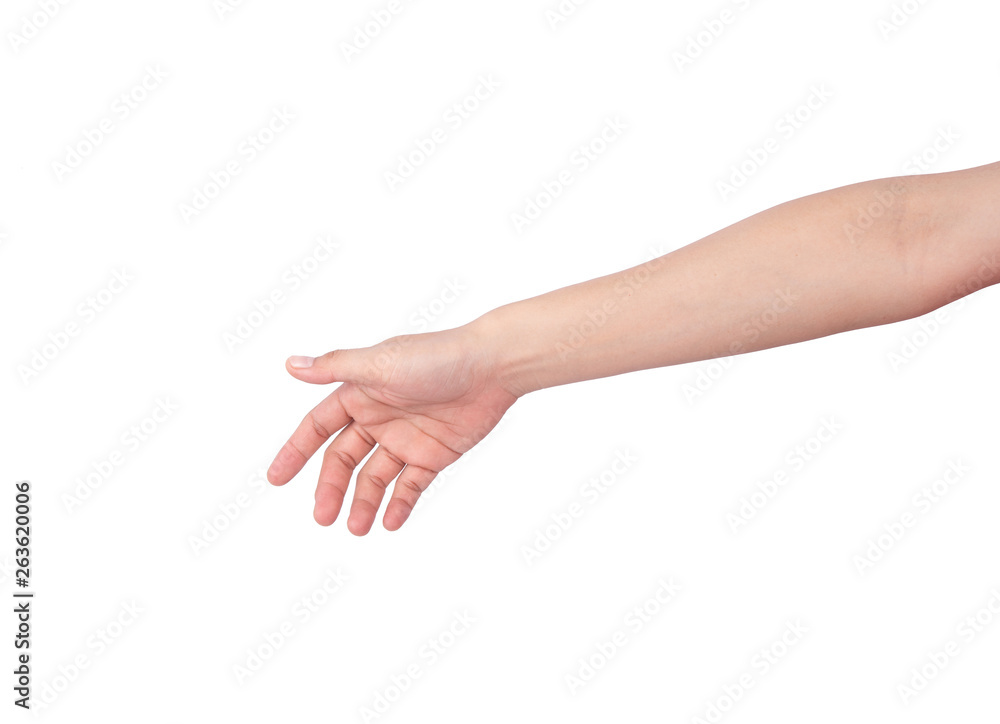 hands before handshake, isolated on white background