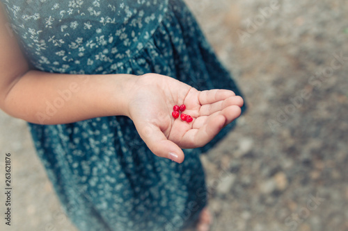 girl's hand. red berries lie on a children's palm