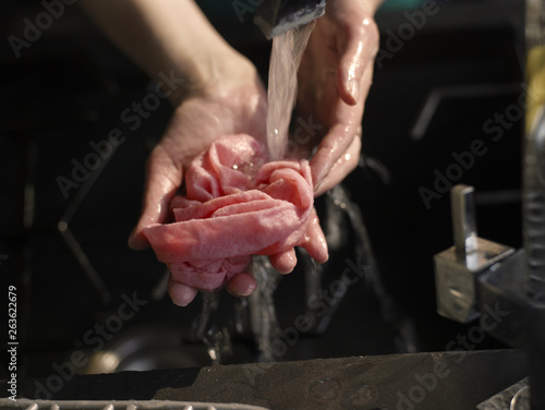 Female hands washing dish cloth