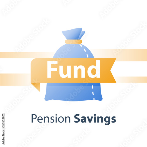 Return on investment, budget planning, cash loan, earn more money, income growth, long term savings account, pension fund payment