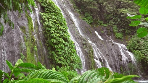 Waterfall in the jungle, small stream flowing across rocks, bright green foliange in foreground, Banyumala Bali Indonesia photo