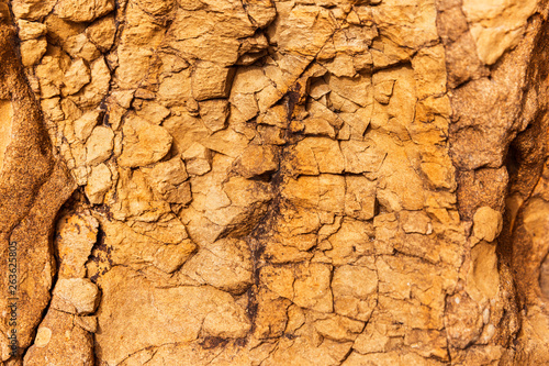 Orange cracked stone surface.