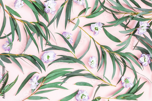 Flowers composition. Eucalyptus leaves, purple flowers on pink background. Flat lay, top view