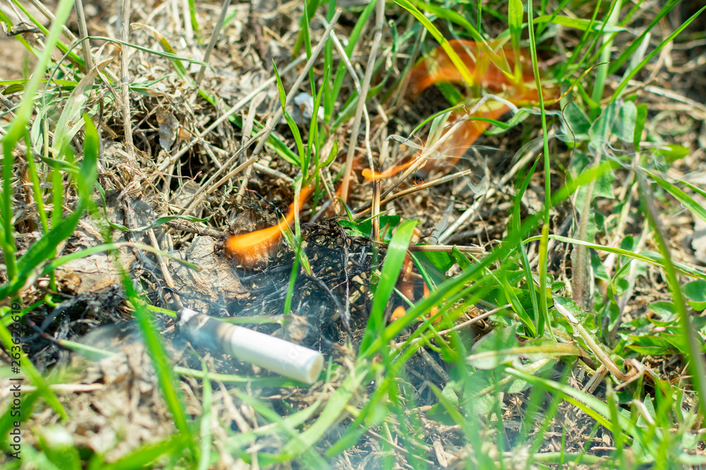 Fototapeta premium Cigarette causing a dangerous fire on the forest