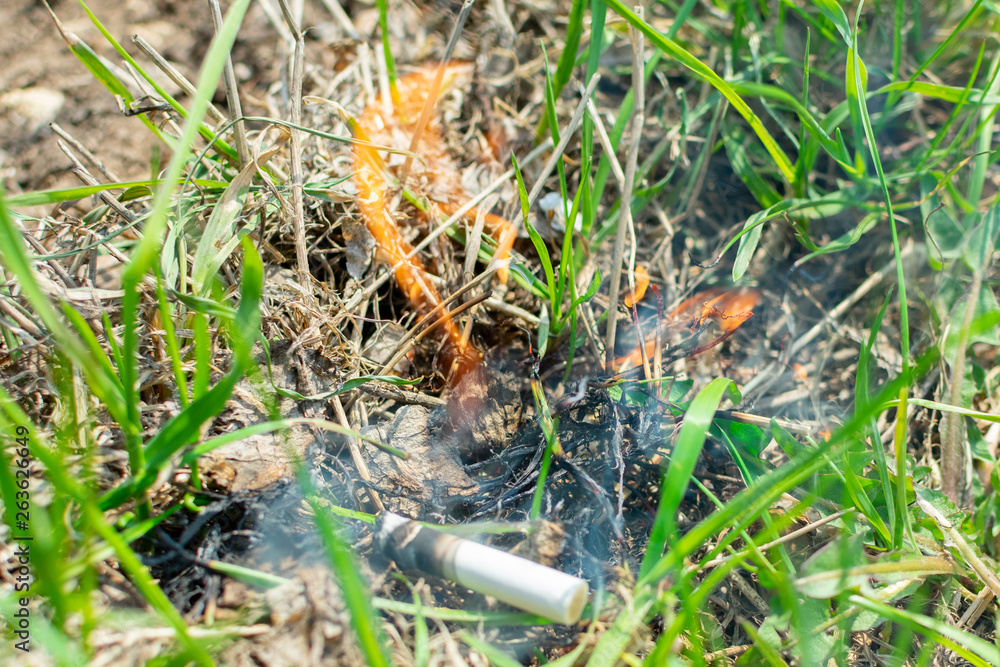 Cigarette causing a dangerous fire on the forest