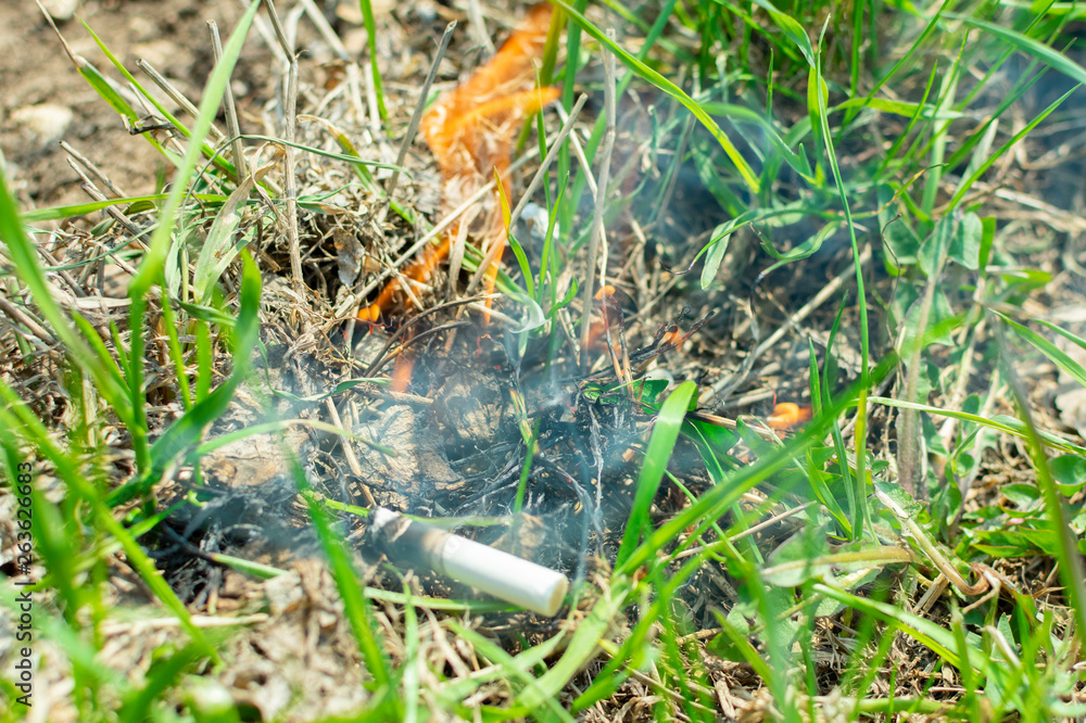 Cigarette causing a dangerous fire on the forest Cigarette causing a dangerous fire on the forest