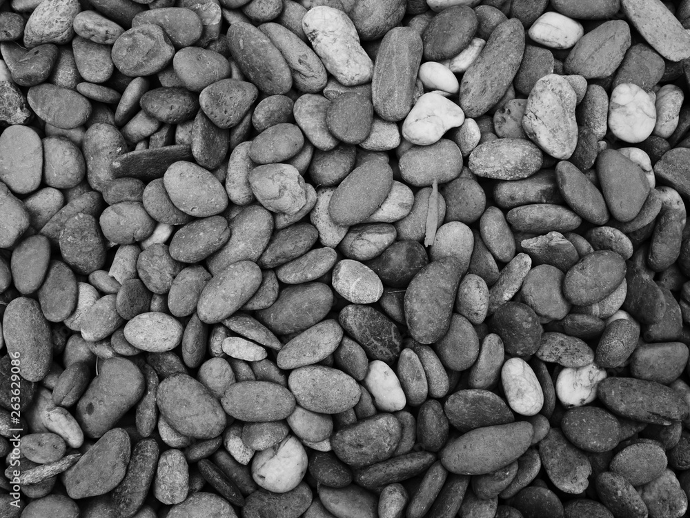 black stone background,pebble beach stone floor black stone background,pebble beach stone floor
