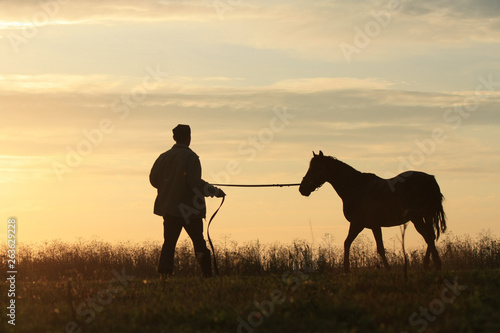 Man and horse silhouette in summer field in the early morning at sunrise