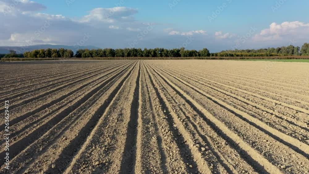 Plowed field fly over drone shot, soil in the sun ready for seeding, tree line background Plowed field fly over drone shot, soil in the sun ready for seeding, tree line background