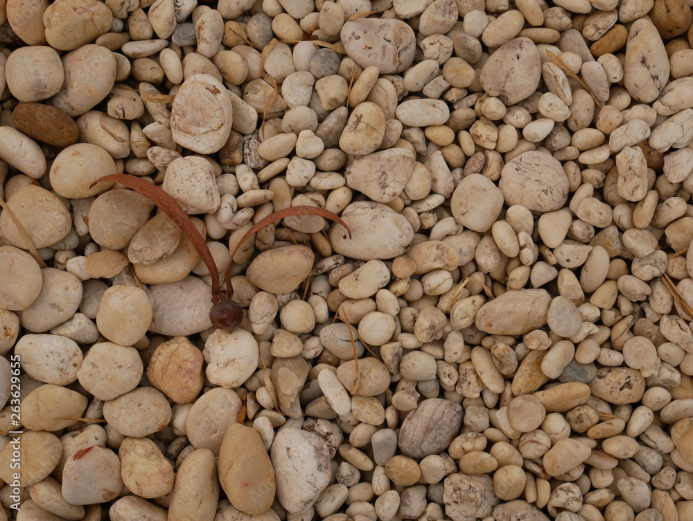 pebbles on the beach pebbles on the beach