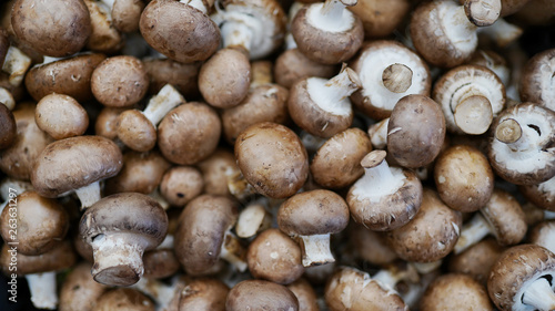mushrooms full frame . Fresh chestnut mushrooms in market. store background