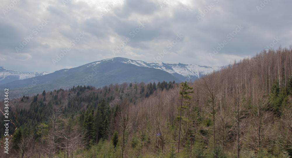 Rest in the Carpathians, Hiking in the mountains Gorgany Rest in the Carpathians, Hiking in the mountains Gorgany