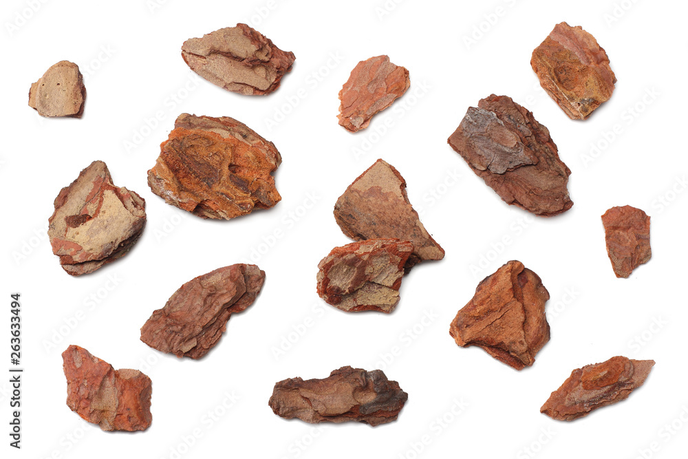 Tree bark pieces isolated on white background. top view Tree bark pieces isolated on white background. top view