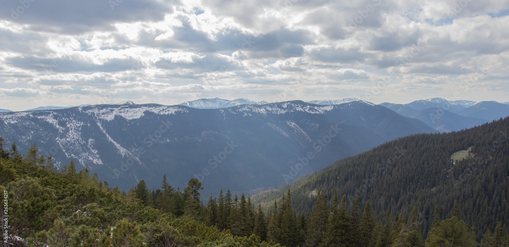 Rest in the Carpathians, Hiking in the mountains Gorgany