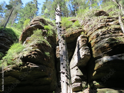 Höllengrund bei Lohmen photo