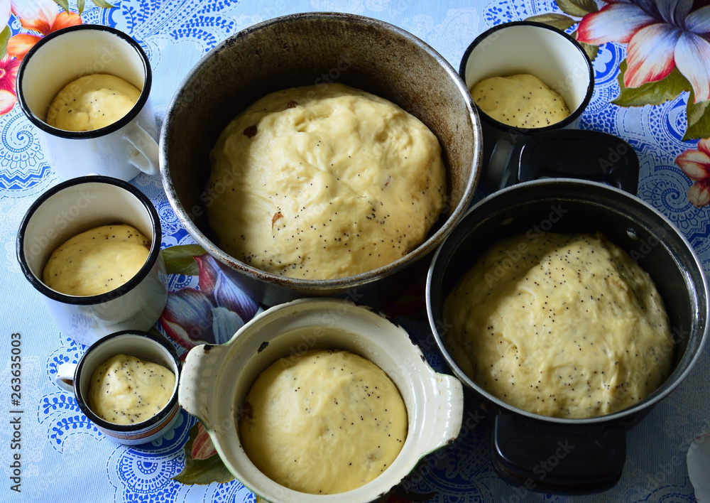Yeast dough for cakes in forms. Cooking at home. View from above. Yeast dough for cakes in forms. Cooking at home. View from above.