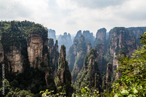 The panorama of the so called “black forest” in Yuanjiajie area in the Wulingyuan National Park, Zhangjiajie, Hunan, China. Wulingyuan National park was the inspiration for the movie Avatar