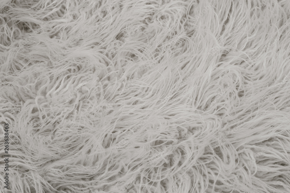 Texture of white shaggy fur. Texture of white shaggy fur.