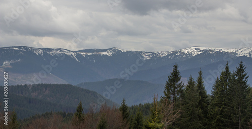 Rest in the Carpathians, Hiking in the mountains Gorgany