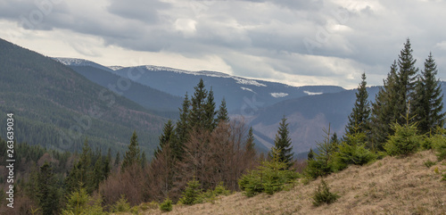 Fototapeta Naklejka Na Ścianę i Meble -  Rest in the Carpathians, Hiking in the mountains Gorgany