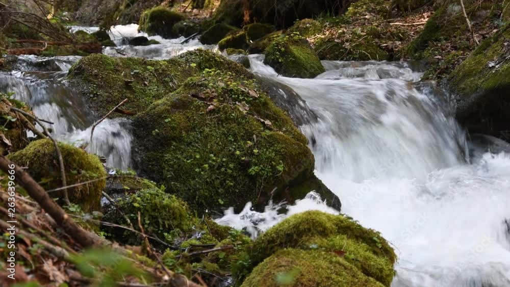 Forest Stream With Mossy Stoneds Forest Stream With Mossy Stoneds