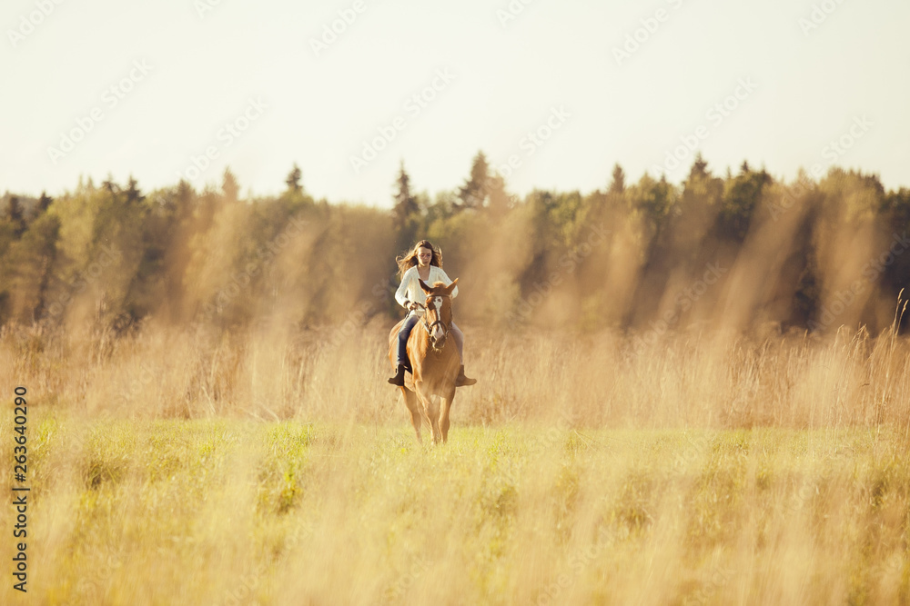 Young girl goes sorrel horse riding in field Young girl goes sorrel horse riding in field