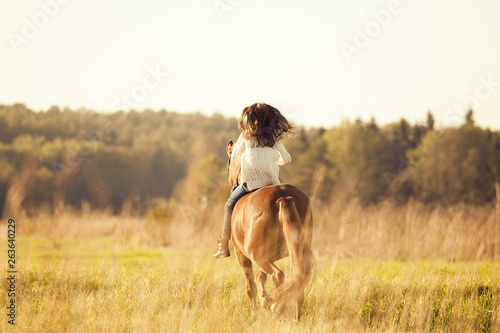 Young girl goes sorrel horse riding in field, back view © Olga