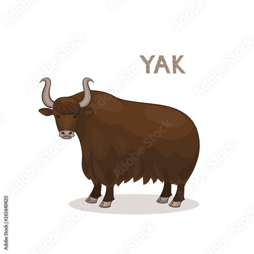 Vector illustration, a cartoon yak with curly horns, isolated on a white background. Animal alphabet.