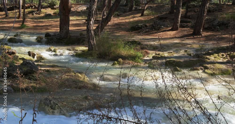 Crystal Water in Forest Mountain River. Deep In The Mountains Crystal Water in Forest Mountain River. Deep In The Mountains