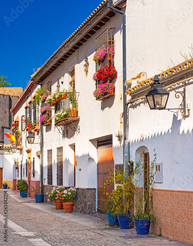 Old town of Cordoba with fl...