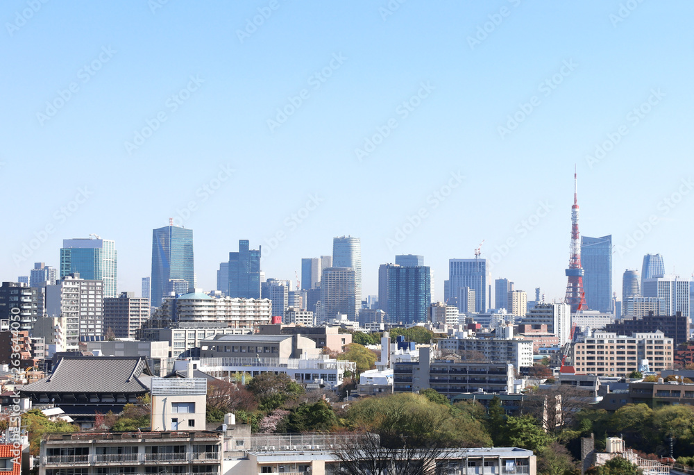 Obraz premium Widok z lotu ptaka na Tokio, Japonia