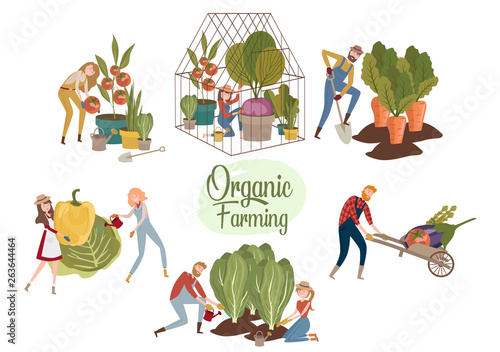 Organic farming illustration with people spending time on the farm, girls and men plant vegetables, take care of plants. Editable vector illustration