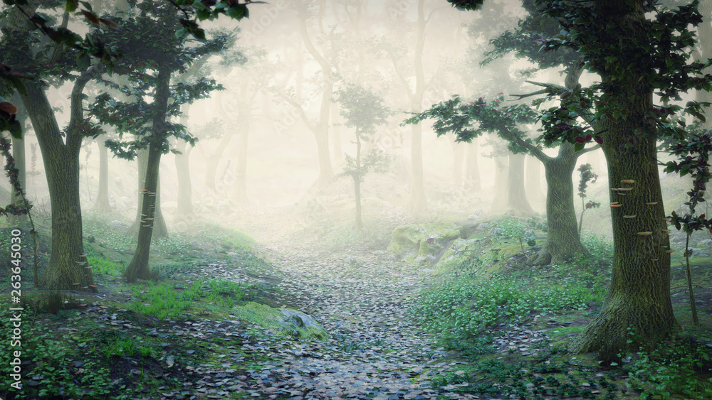 path through magical forest at sunrise