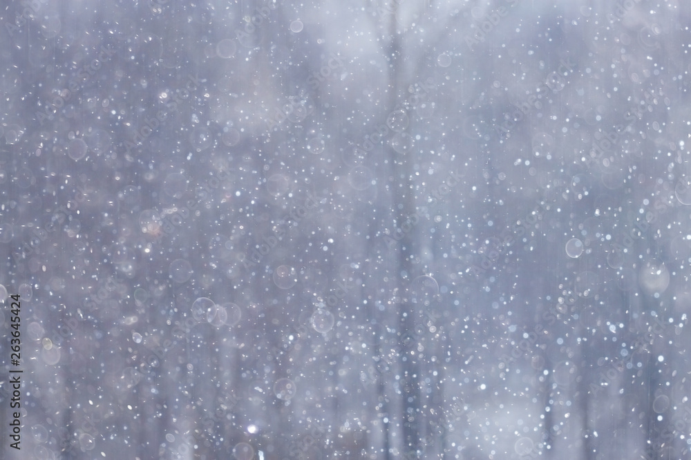 forest snow blurred background / winter landscape snow-covered forest, trees and branches in winter weather forest snow blurred background / winter landscape snow-covered forest, trees and branches in winter weather