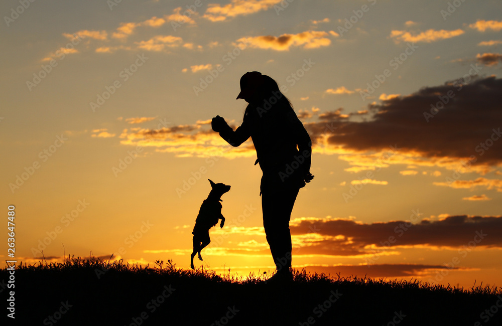 Silhouettes girl playing with a dog on the background of sunset, miniature pinscher breed, incredible sunset, best friends together Silhouettes girl playing with a dog on the background of sunset, miniature pinscher breed, incredible sunset, best friends together