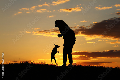 Silhouettes girl playing with a dog on the background of sunset  miniature pinscher breed  incredible sunset  best friends together