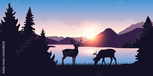 two moose graze by the river in the forest at sunrise vector illustration EPS10