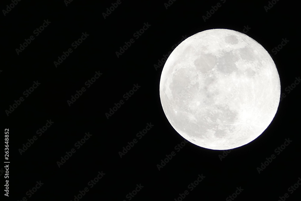 Fototapeta premium LUNA