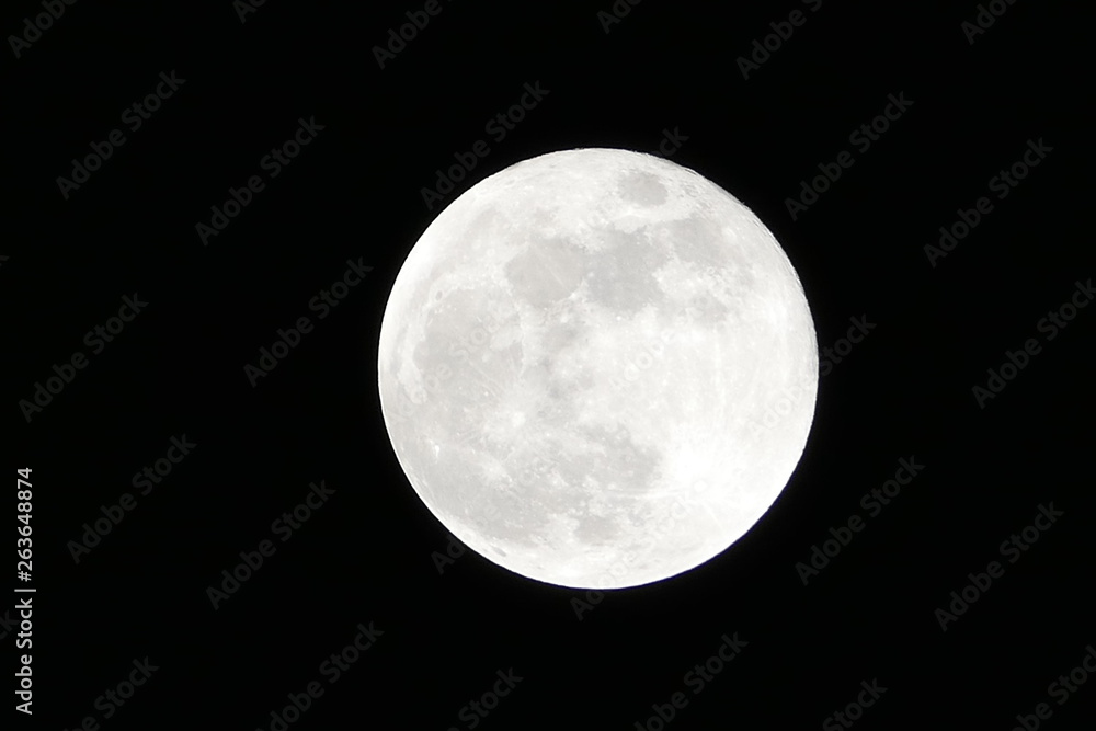 Fototapeta premium LUNA
