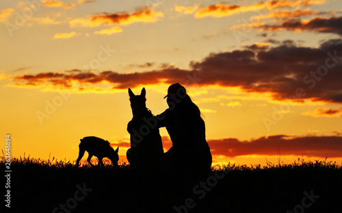Silhouettes girl and two dogs at sunset  a breed of Belgian Shepherd dog Malinois and a miniature pinscher dog  an incredibly beautiful sunset  best friends together