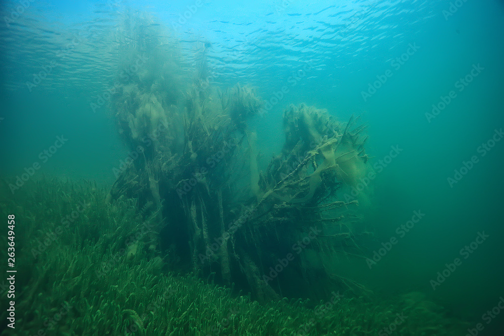 Fototapeta premium disaster ecology river underwater / landscape pollution ecology underwater
