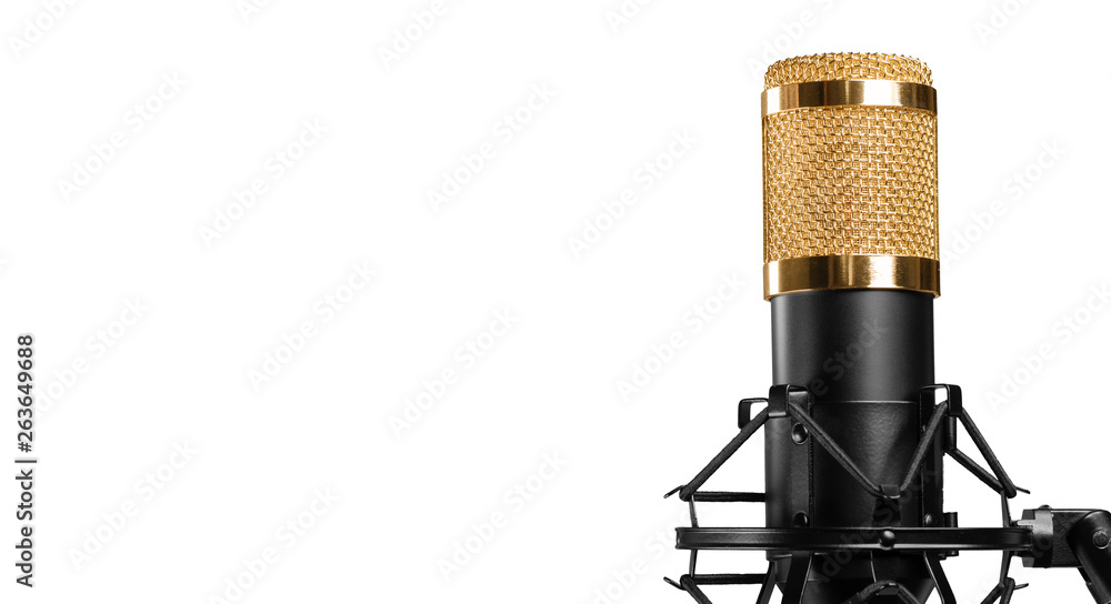 microphone isolated on a white background microphone isolated on a white background