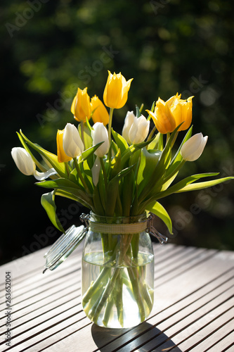 Tulpen photo